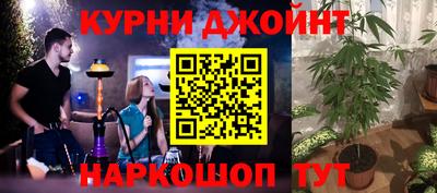 a pvp Бийск